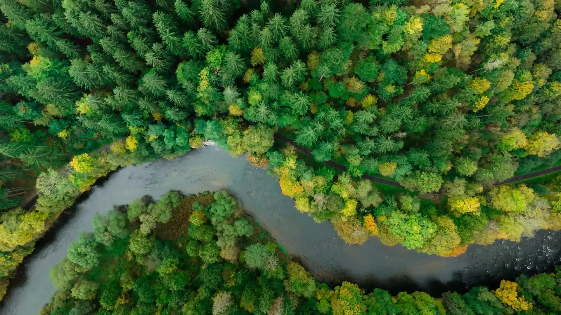 Biodiversidad y recursos naturales