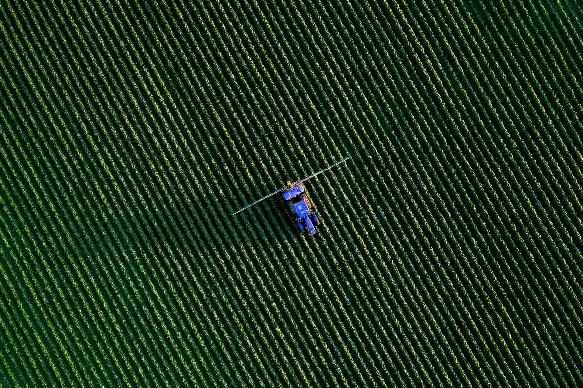 Agricultura
